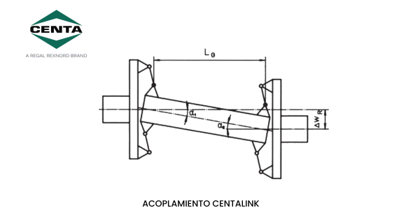 Acoplamiento CENTALINK de Regal Rexnord CENTA - Herrekor